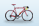 Vacanze in bici