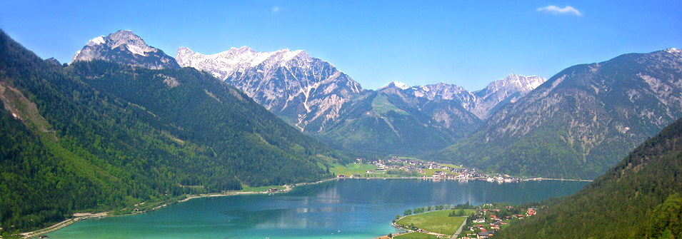 Estate Estate
