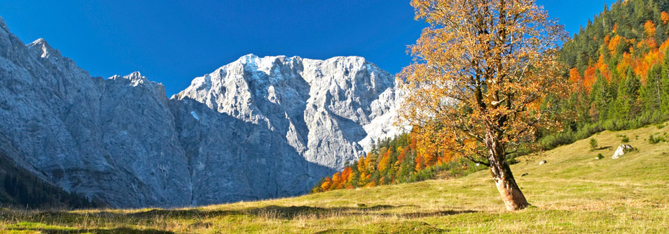 Autunno Autunno