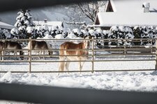 fohlenhof ebbs winter