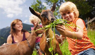 Vacanze in Fattoria - Urlaub am Bauernhof in Tirol