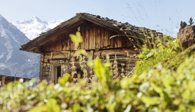 Alpenhotel Fernau